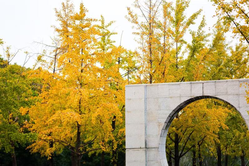 Admission | CPU 2026 September-intake Chinese Language Program